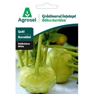 Seminte Gulii DELIKATESS WITTE, Agrosel - 3,5 g