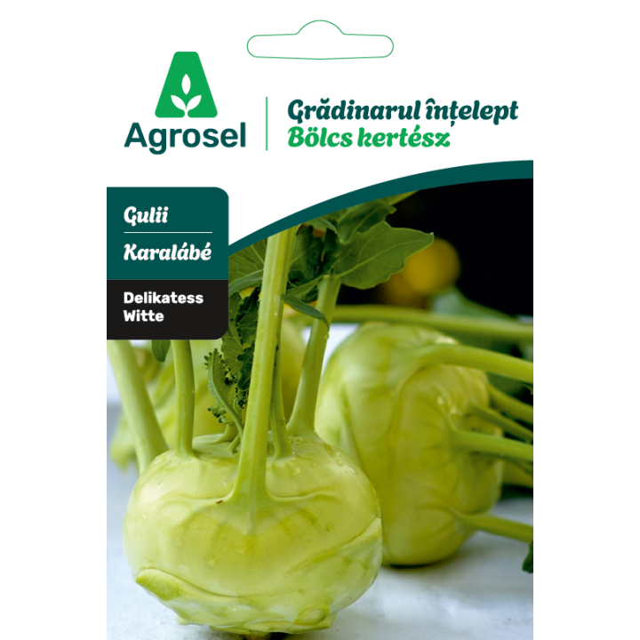 Seminte Gulii DELIKATESS WITTE, Agrosel - 3,5 g
