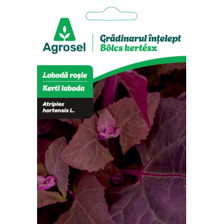 Seminte Loboda rosie, Agrosel, Gradinarul intelept - 1 g
