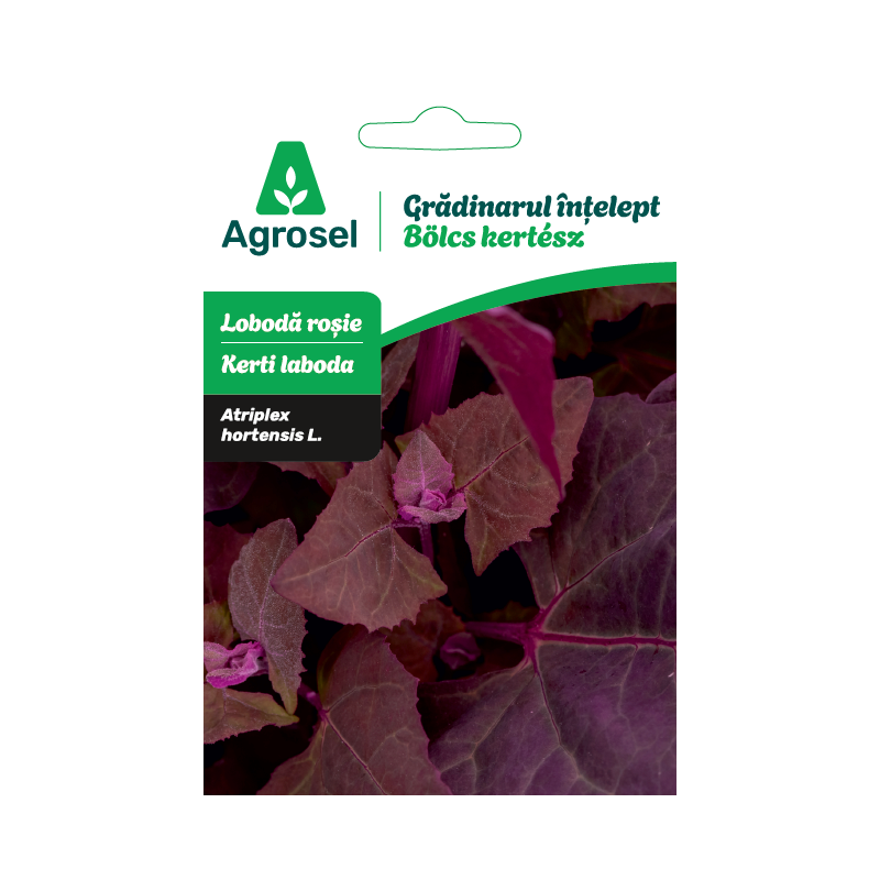 Seminte Loboda rosie, Agrosel, Gradinarul intelept - 1 g