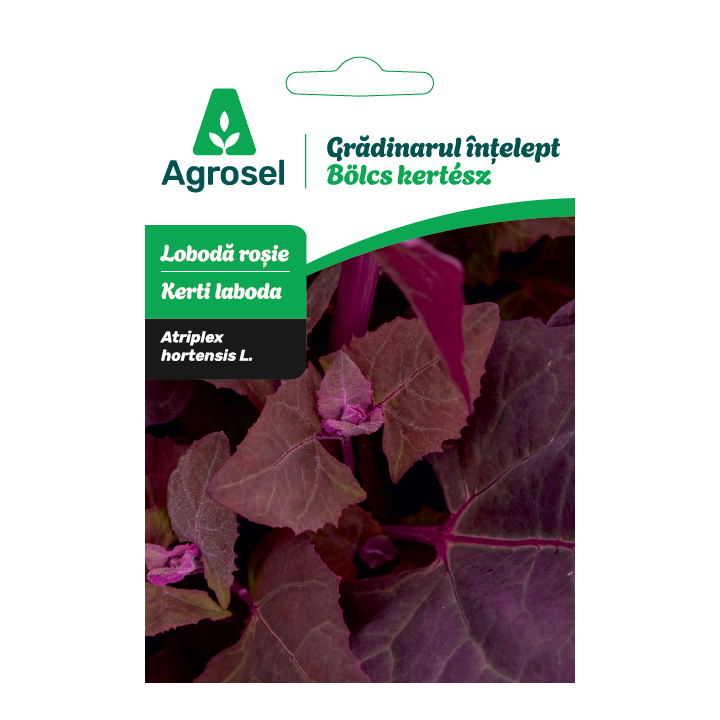 Seminte Loboda rosie, Agrosel, Gradinarul intelept - 1 g