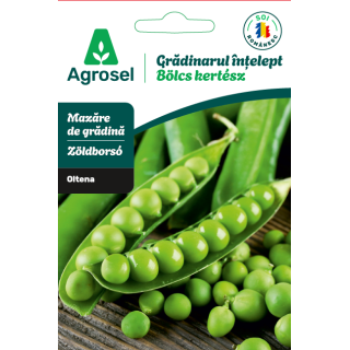 Seminte Mazare OLTENA, Agrosel - cca 75 seminte