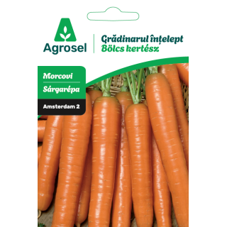 Seminte Morcovi AMSTERDAM 2, Agrosel - 4 g