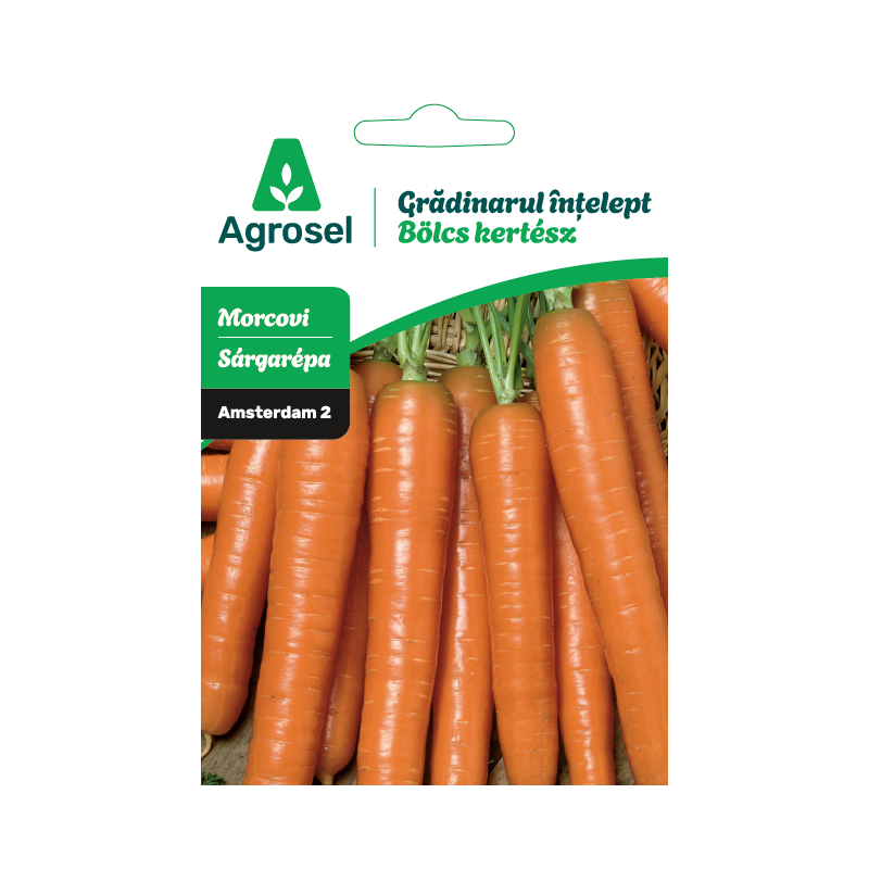 Seminte Morcovi AMSTERDAM 2, Agrosel - 4 g