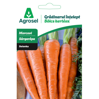 Seminte Morcovi DOLANKA/FLAKKER, Agrosel - 4,5 g