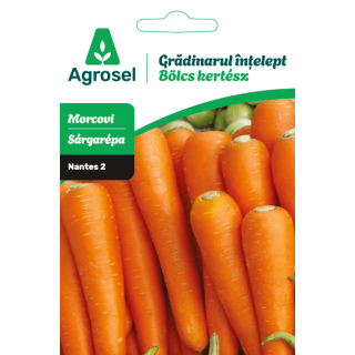 Seminte Morcovi NANTES 2, Agrosel - 4,5 g