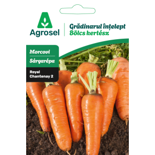Seminte Morcovi ROYAL CHANTENAY 2, Agrosel - 4 g