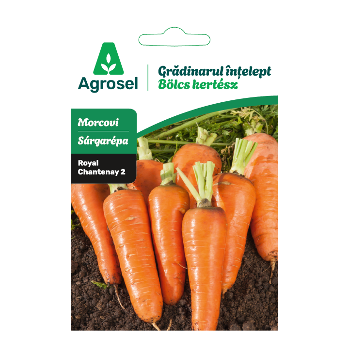 Seminte Morcovi ROYAL CHANTENAY 2, Agrosel - 4 g