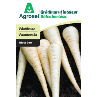 Seminte Pastarnac WHITE GEM, Agrosel - 3,5 g