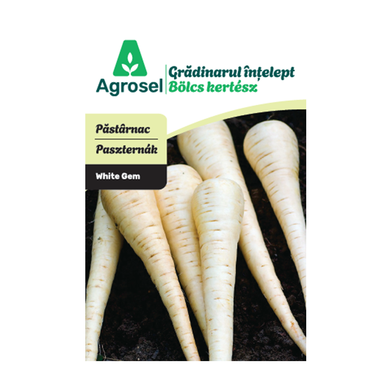 Seminte Pastarnac WHITE GEM, Agrosel - 3,5 g