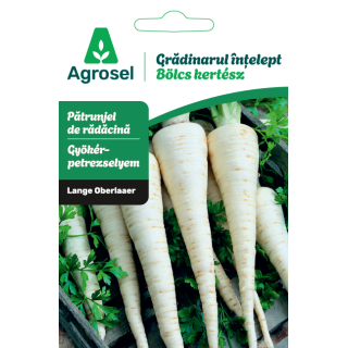 Seminte Patrunjel radacina LANGE OBERLAAER, Agrosel - 4,5 g