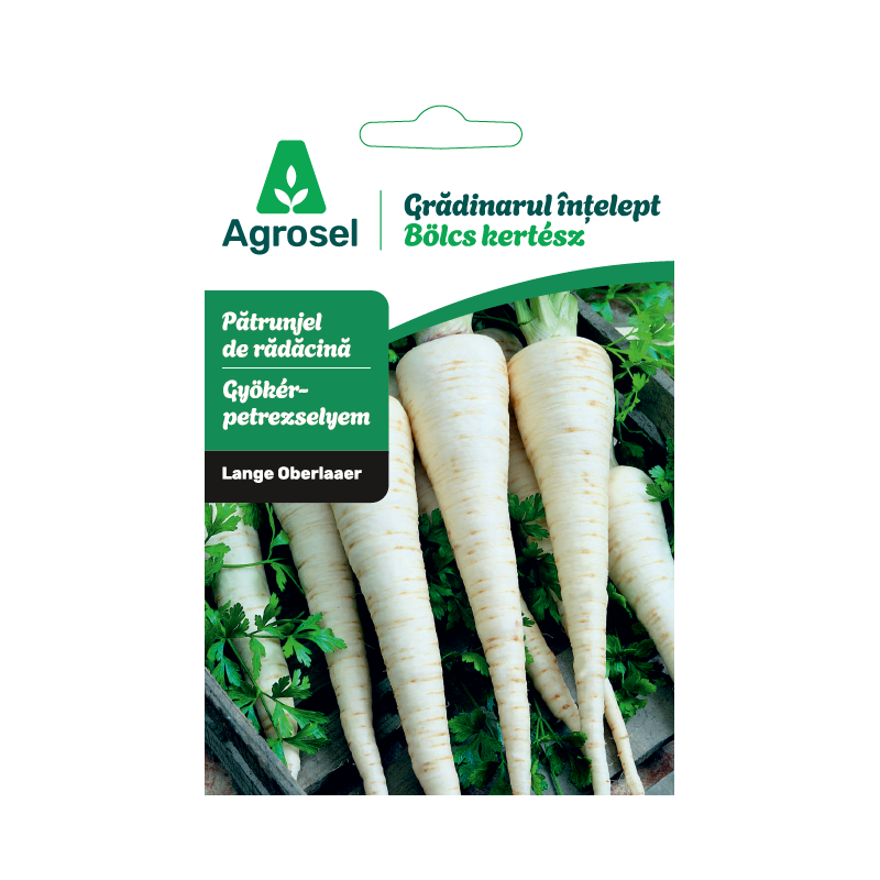 Seminte Patrunjel radacina LANGE OBERLAAER, Agrosel - 4,5 g