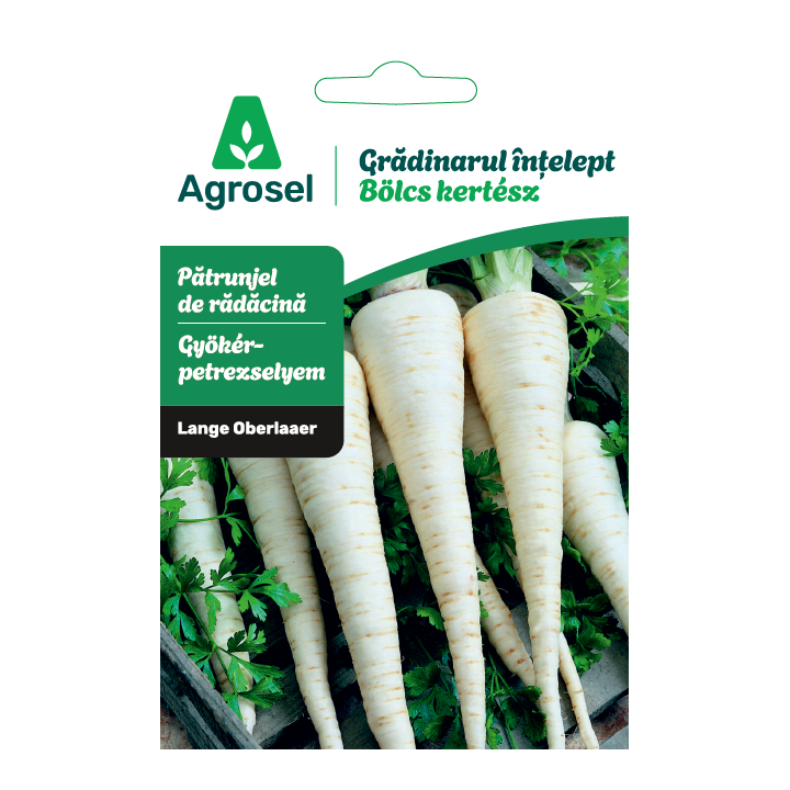 Seminte Patrunjel radacina LANGE OBERLAAER, Agrosel - 4,5 g