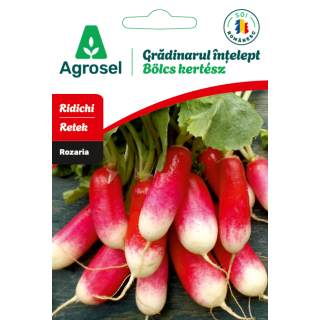 Seminte Ridichi ROZARIA, Agrosel - 4 g
