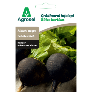 Seminte Ridichi RUNDER SCHWARZER WINTER, Agrosel - 4 g