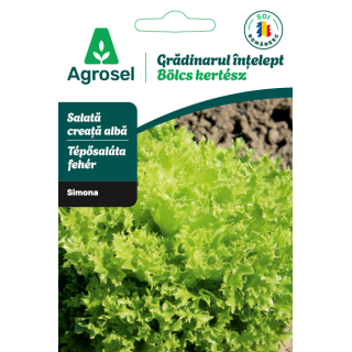 Seminte Salata creata alba SIMONA, Agrosel - 1,5 g