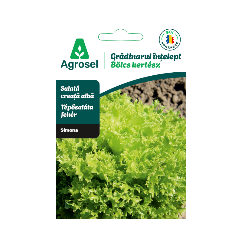 Seminte Salata creata alba SIMONA, Agrosel - 1,5 g