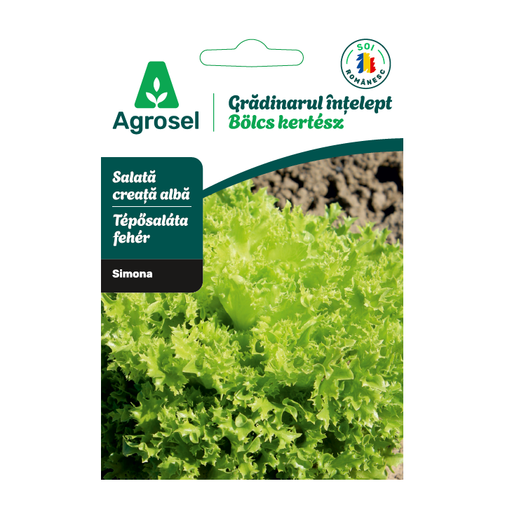 Seminte Salata creata alba SIMONA, Agrosel - 1,5 g