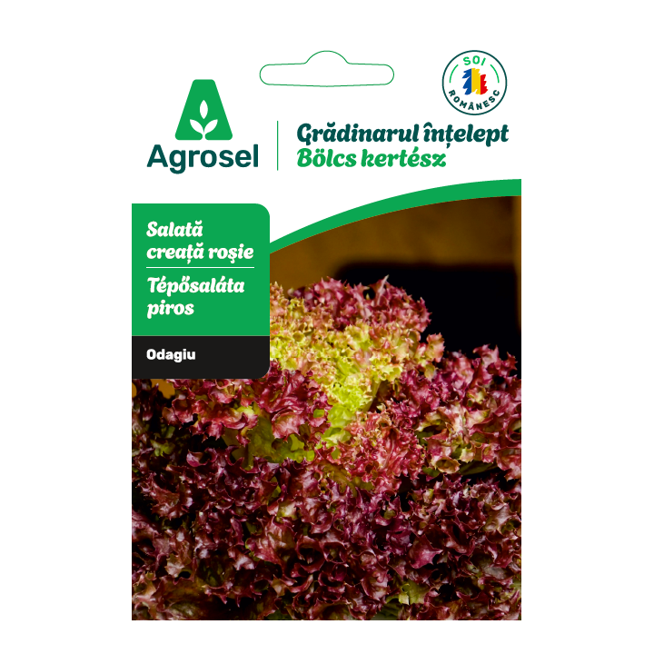 Seminte Salata creata rosie ODAGIU, Agrosel - 1,5 g