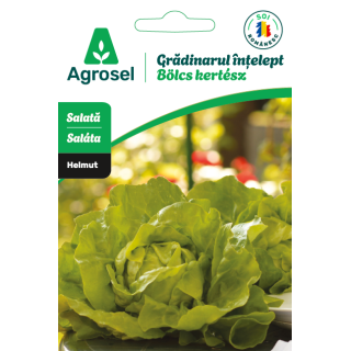 Seminte Salata HELMUT, Agrosel - 2 g