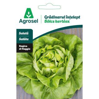 Seminte Salata REGINA DI MAGGIO/MAY KING, Agrosel - 1,5 g