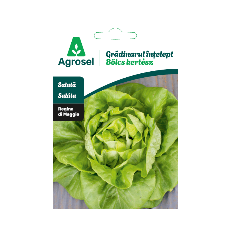 Seminte Salata REGINA DI MAGGIO/MAY KING, Agrosel - 1,5 g
