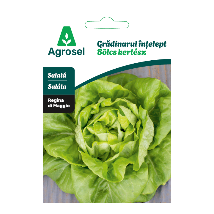 Seminte Salata REGINA DI MAGGIO/MAY KING, Agrosel - 1,5 g