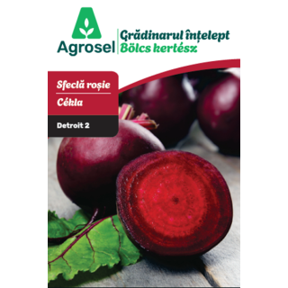 Seminte Sfecla rosie DETROIT 2, Agrosel - 4 g