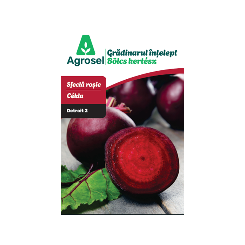 Seminte Sfecla rosie DETROIT 2, Agrosel - 4 g
