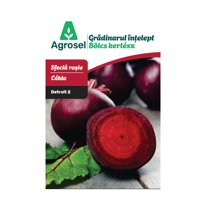 Seminte Sfecla rosie DETROIT 2, Agrosel - 4 g