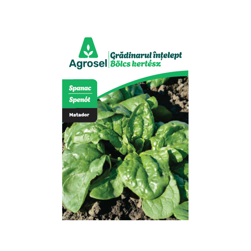 Seminte Spanac MATADOR, Agrosel - 6,5 g