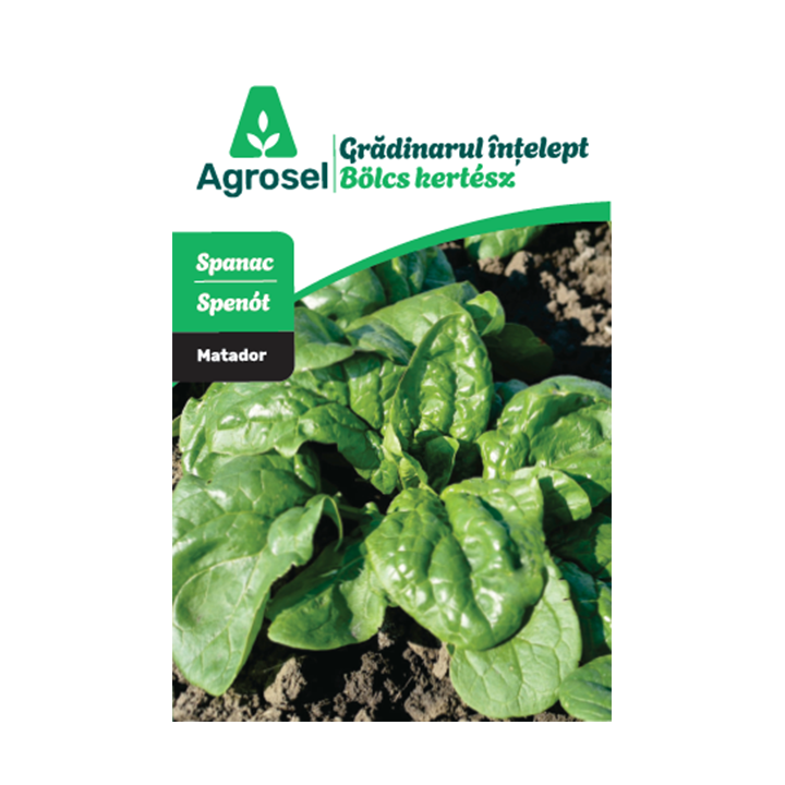 Seminte Spanac MATADOR, Agrosel - 6,5 g