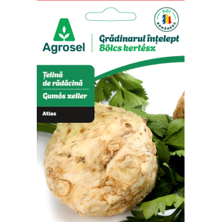 Seminte Telina radacina ATLAS, Agrosel - 0,8 g