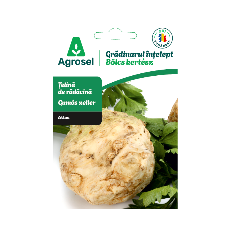 Seminte Telina radacina ATLAS, Agrosel - 0,8 g