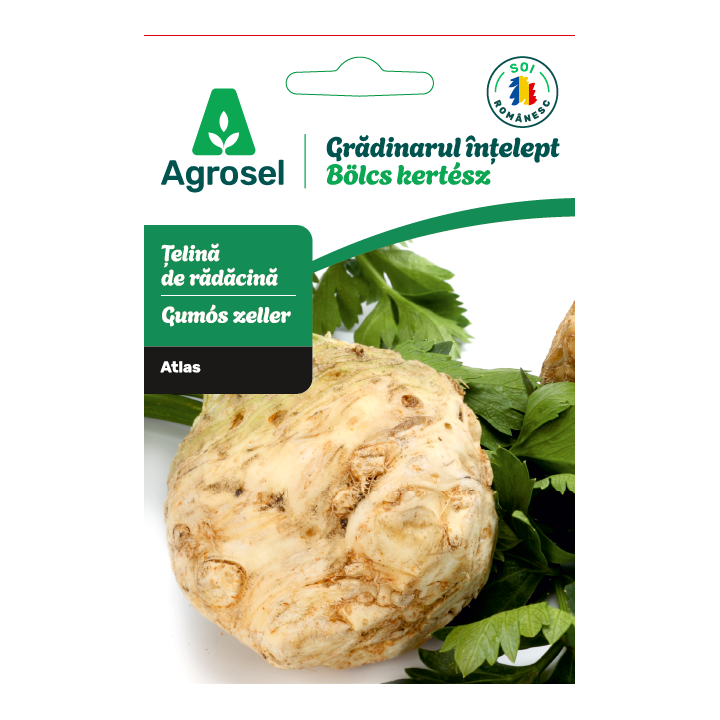 Seminte Telina radacina ATLAS, Agrosel - 0,8 g