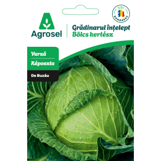 Seminte Varza de BUZAU, Agrosel - 2,5 g