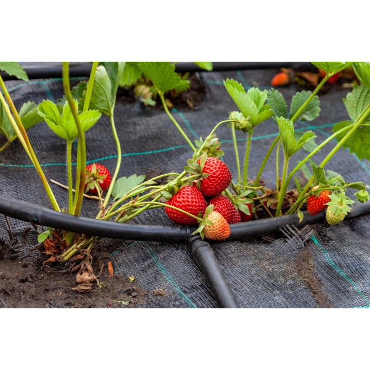 Folie antiburuieni AGROTEXTIL, 100 g/mp, Tratata UV, 6 Sezoane - Rola 1,5 x 100 m