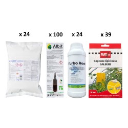 Pachet SMART-MIX 250 - BASAMID 1 kg (x 24) + ALBIT 2 ml (x 100) + TURBO ROOT 500 ml (x 24) + Capcane galbene MAT (x 39)
