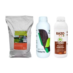 Pachet SMART-MIX 84 - TERRACALCO GARDEN 20 Kg + CLYNSOL PRO 1 L + RAZOMAX 1 L, pregatirea solului si stimularea inradacinarii