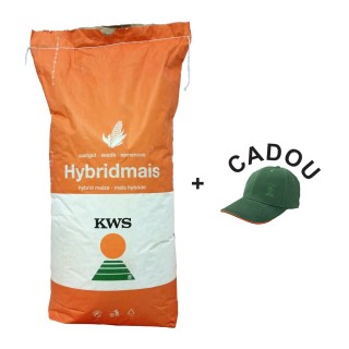 Samanta Porumb KWS KAVALIER, Extra-Timpuriu - Sac 50.000 boabe