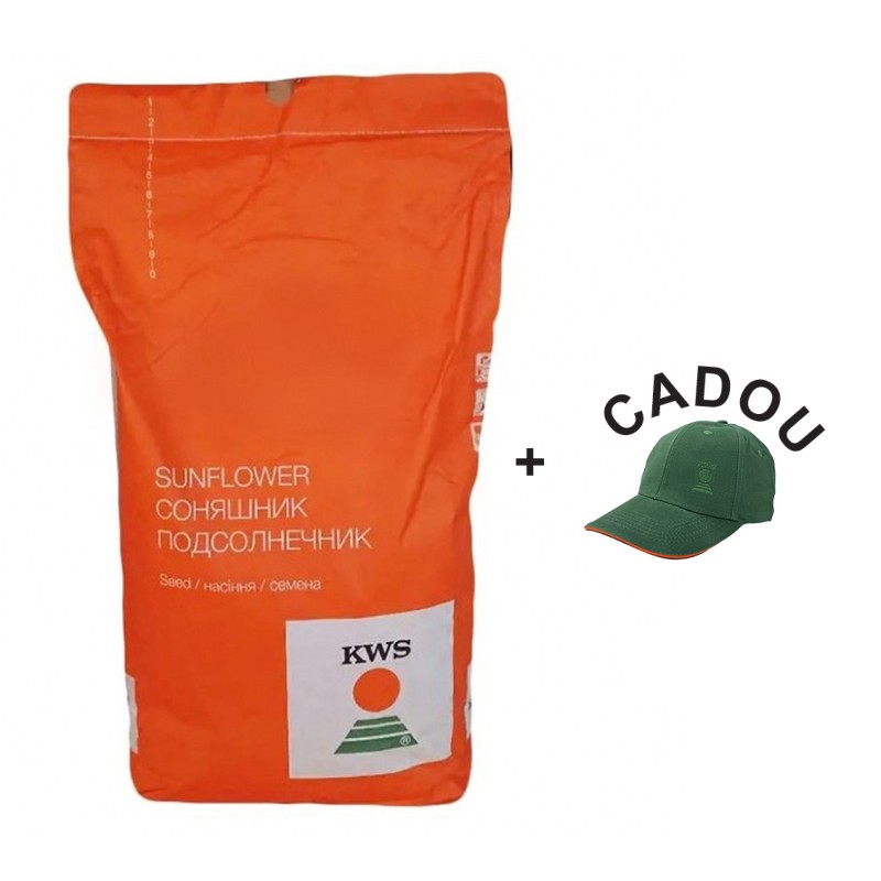 Seminte de Floarea Soarelui KWS ARNOLDES CL HO, Clearfield