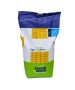 Samanta Porumb DARIUS Saaten Union, FAO 390 - Sac 50.000 boabe