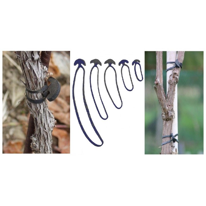 Guma de legat elastica 5 cm - 1 kg