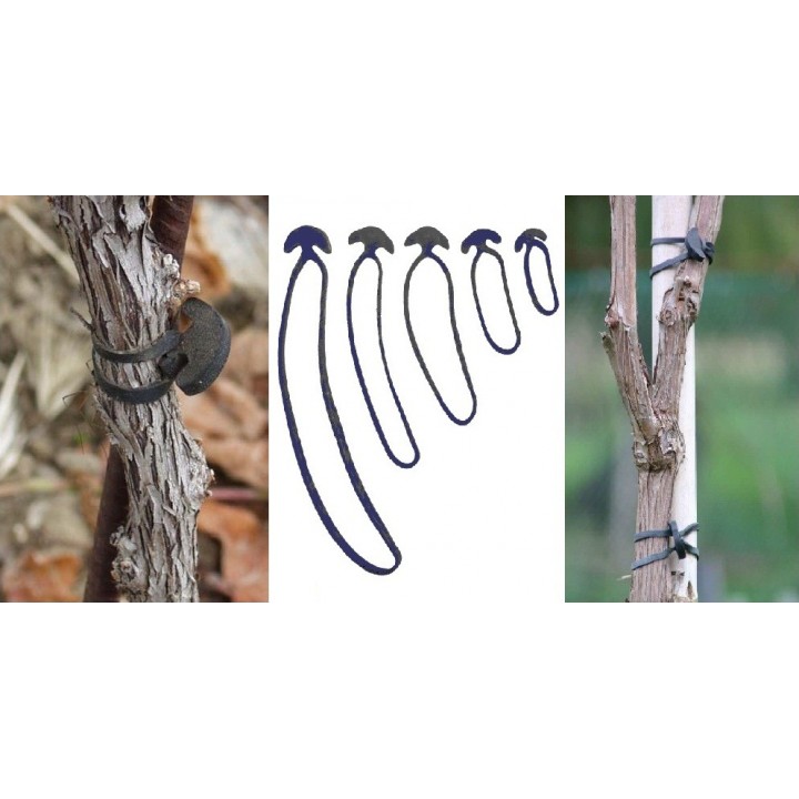 Guma de legat elastica 8 cm - 1 kg