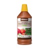 Ingrasamant Legume si Plante aromatice - 500 ml, Diolsem, Organic