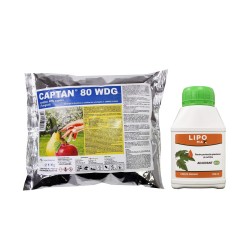 Pachet SMART-MIX 294 - Fungicid CAPTAN 80 WDG, UPL 1 kg + Adjuvant Ecologic LIPOMAX® - 250 ml