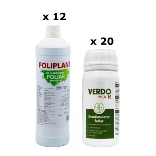 Pachet SMART-MIX 312 - FOLIPLANT 1 L (x 12 buc) + VERDOMAX 100 ml (x 20 buc)
