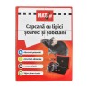Pachet SMART-MIX 313 - Insecticid muste MASTERFLY® BAIT 125 g (x 12 buc) + Capcane cu lipici tip Carte MAT (x 50 buc)