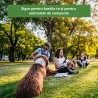 Ingrasamant organic gazon Greenax BioTurf+ - 10 kg