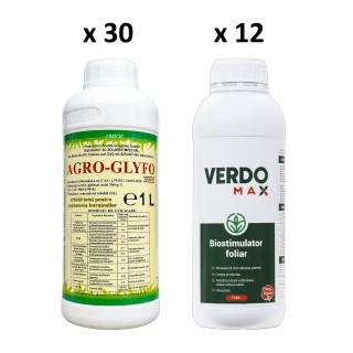 Pachet SMART-MIX 269 - AGRO GLYFO 1 L (x30) + VERDOMAX 1 L (x12)